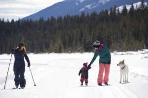 family cross country skiing