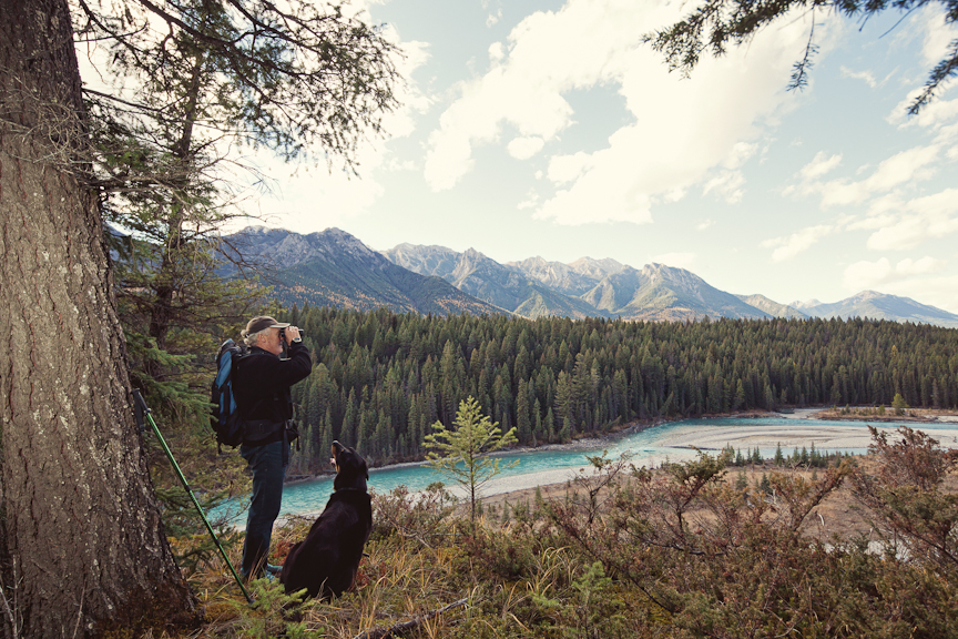 Experience & explore