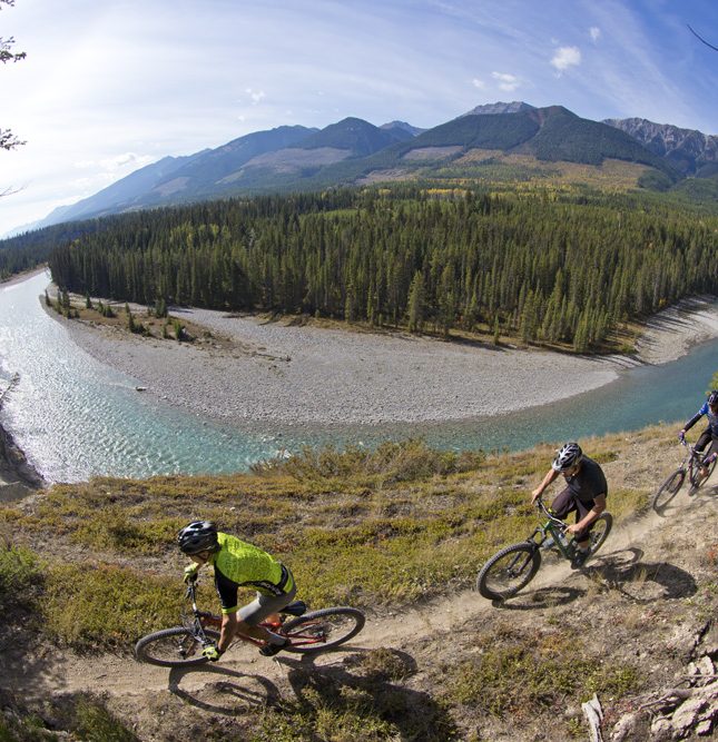 Mountain biking singletrack